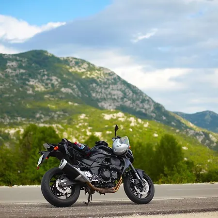 La Borda Del Zarrastiecho Villa Sallent de Gállego